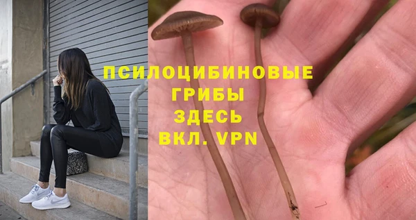 MESCALINE Краснослободск