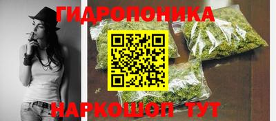 шишки Краснокаменск