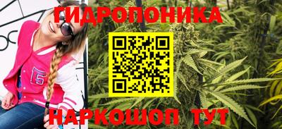 шишки Краснокаменск