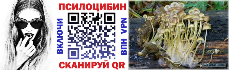 Купить где  Усолье-Сибирское  Псилоцибиновые грибы мицелий 
