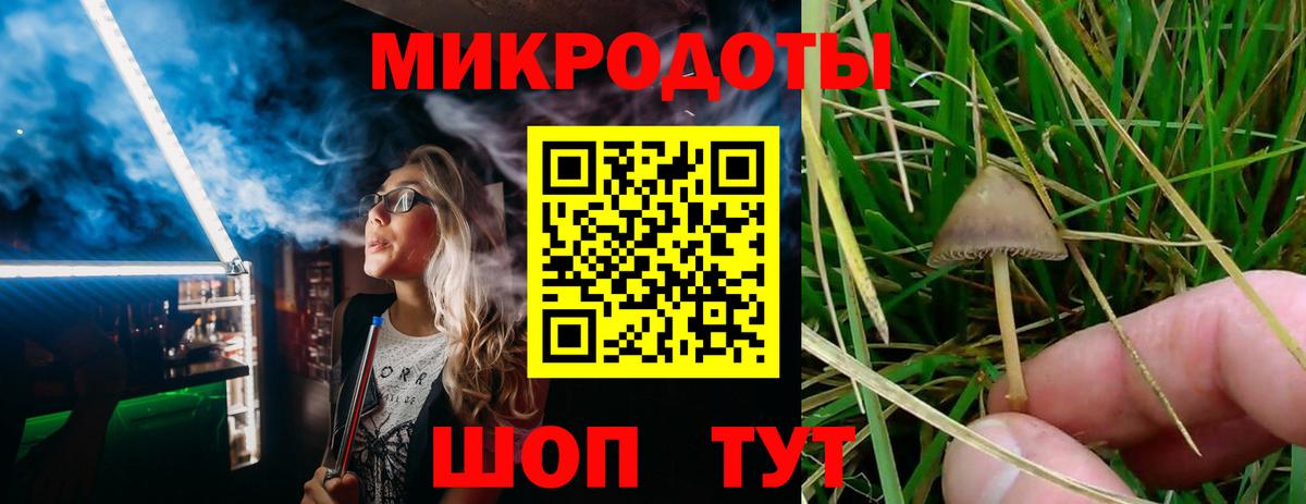 Псилоцибиновые грибы мухоморы Усолье-Сибирское